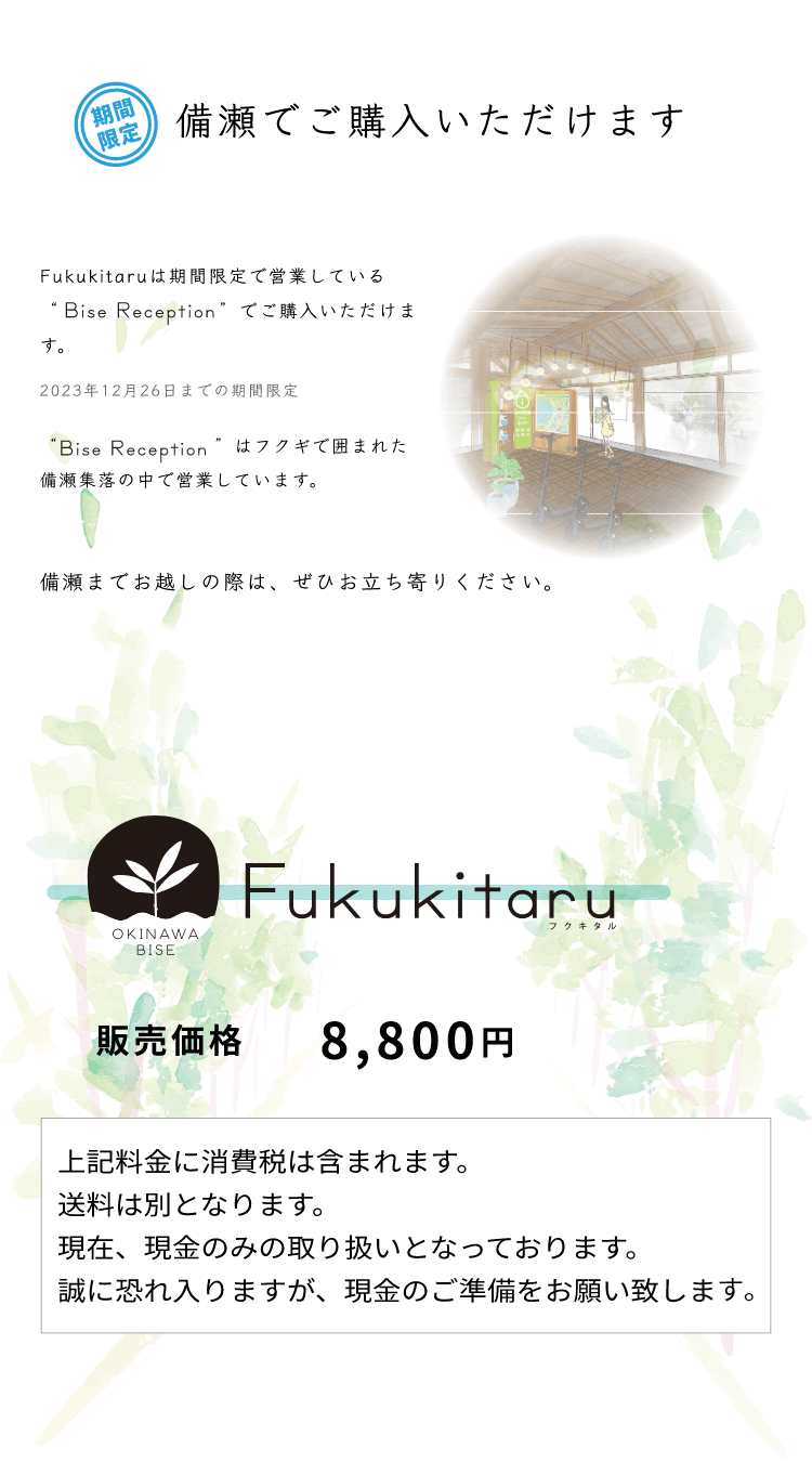 備瀬でご購入いただけます Fukukitaruは期間限定で営業している“Bise Reception”でご購入いただけます。2023年12月26日までの期間限定。“Bise Reception”はフクギで囲まれた備瀬集落の中で営業しています。備瀬までお越しの際は、ぜひお立ち寄りください。販売価格 8,800円 上記料金に消費税は含まれます。送料は別となります。現在は、現金のみの取り扱いとなっております。誠に恐れ入りますが、現金のご準備をお願い致します。
