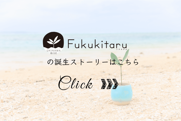 Fukukitaruの誕生ストーリーはこちら Click