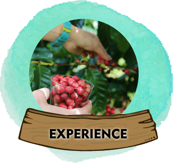 Experience