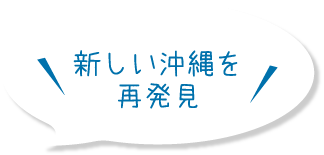 新しい沖縄を再発見 やんばるアドベンチャー