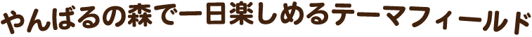 やんばるの森で一日楽しめるテーマフィールド