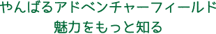 やんばるアドベンチャーフィールド 魅力をもっと知る