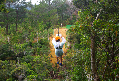 Adventure Ropeway 3