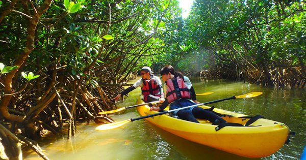 Yanbaru Nature School