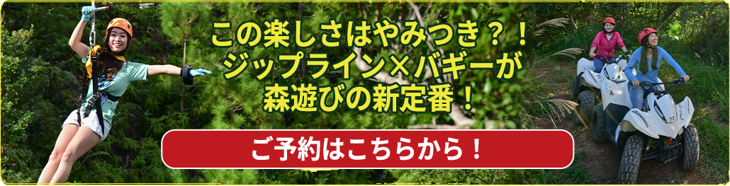 この楽しさはやみつき?!ジップライン×バギーが森遊びの新定番！ご予約はこちらから