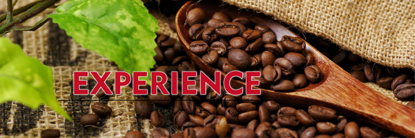 Experience at Matayoshi Coffee Farm