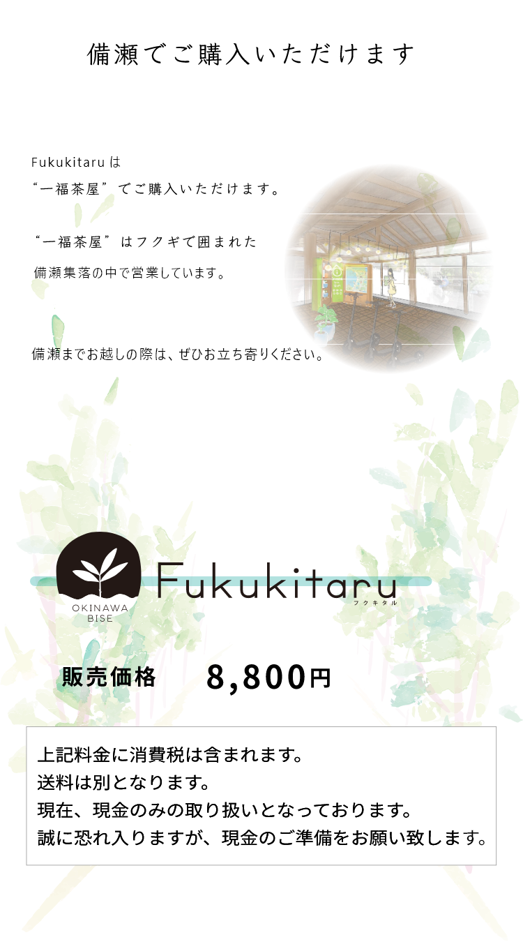 備瀬でご購入いただけます Fukukitaruは期間限定で営業している“Bise Reception”でご購入いただけます。2023年12月26日までの期間限定。“Bise Reception”はフクギで囲まれた備瀬集落の中で営業しています。備瀬までお越しの際は、ぜひお立ち寄りください。販売価格 8,800円 上記料金に消費税は含まれます。送料は別となります。現在は、現金のみの取り扱いとなっております。誠に恐れ入りますが、現金のご準備をお願い致します。